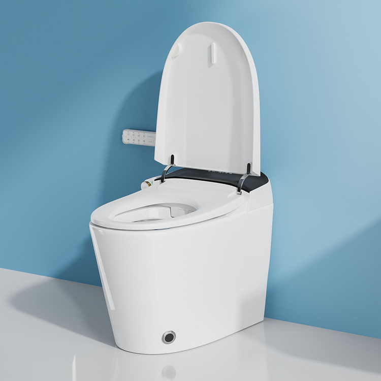 Badkamerdecoratie Slimme Elekt - Home Bathroom Toilet recensie en prijs
